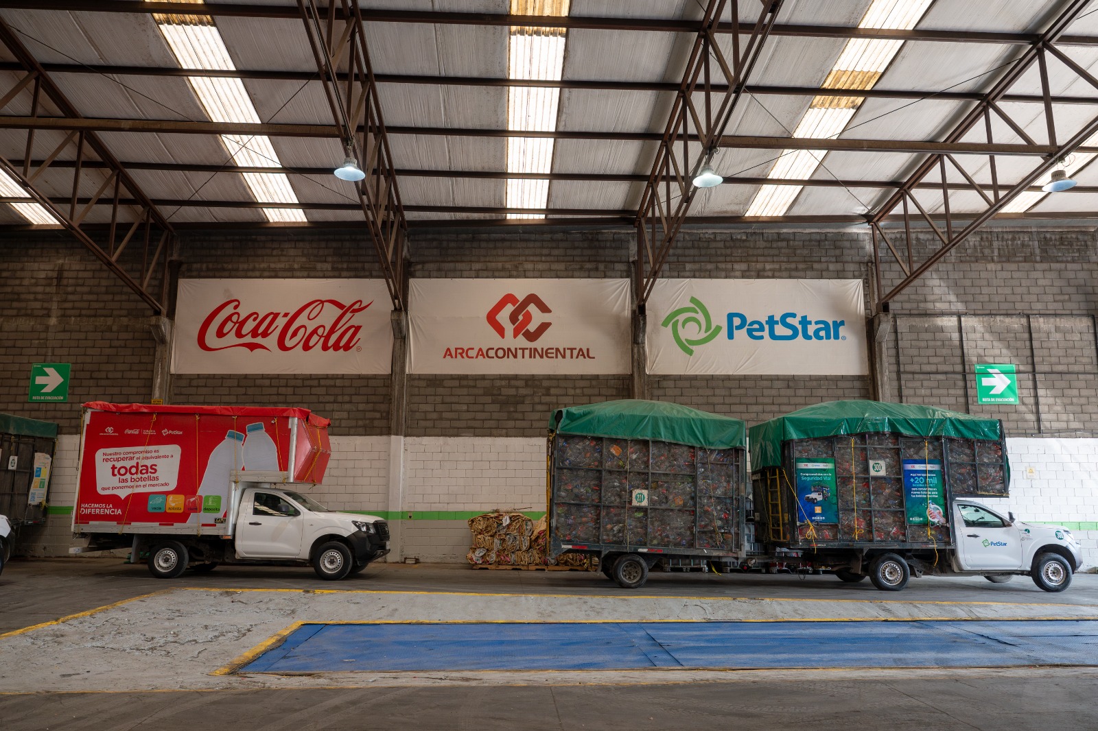 Planta PetStar 4